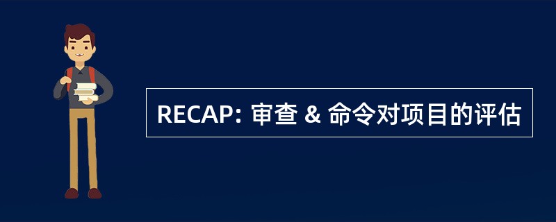 RECAP: 审查 & 命令对项目的评估