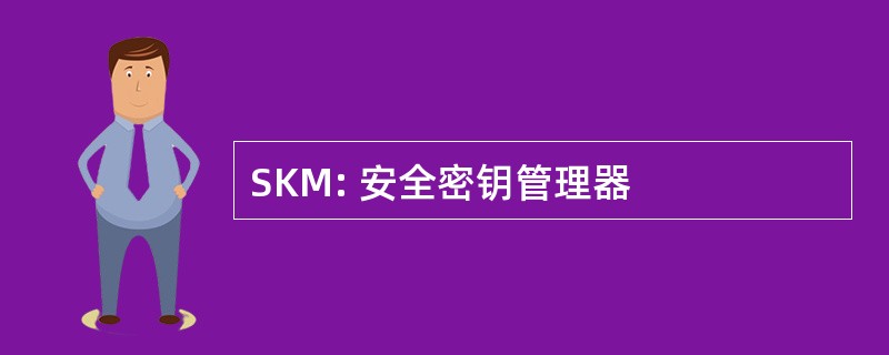 SKM: 安全密钥管理器