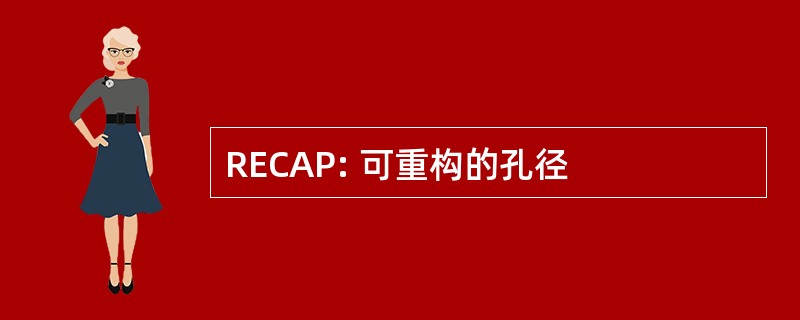 RECAP: 可重构的孔径