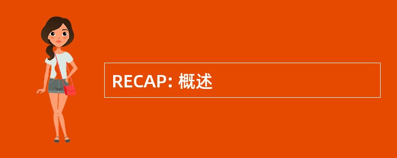 RECAP: 概述