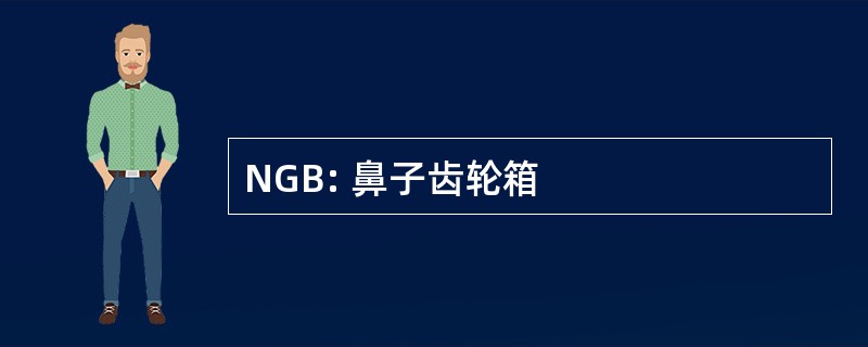 NGB: 鼻子齿轮箱