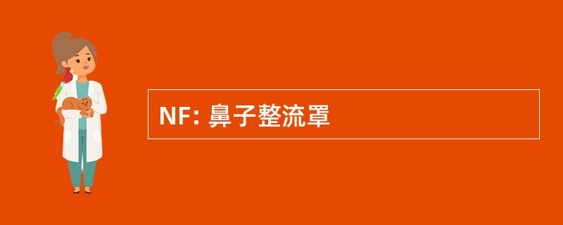 NF: 鼻子整流罩