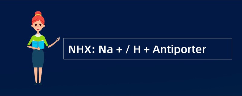 NHX: Na + / H + Antiporter