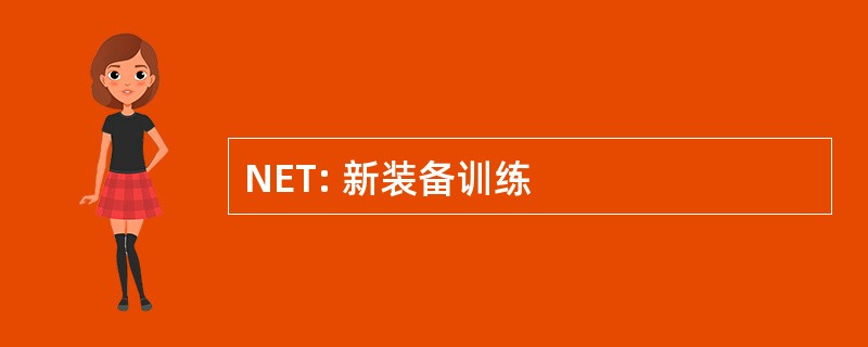 NET: 新装备训练