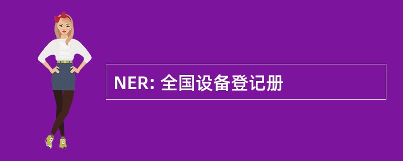 NER: 全国设备登记册