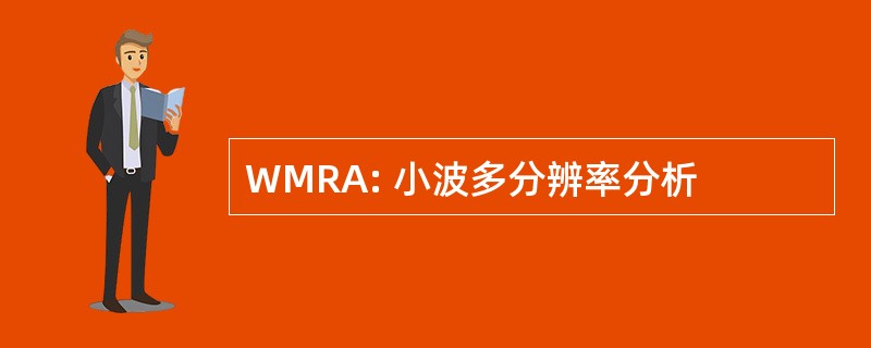 WMRA: 小波多分辨率分析