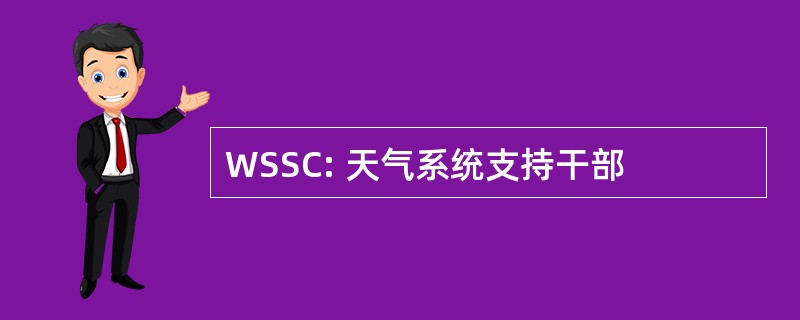 WSSC: 天气系统支持干部