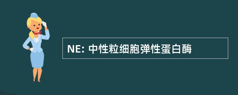 NE: 中性粒细胞弹性蛋白酶