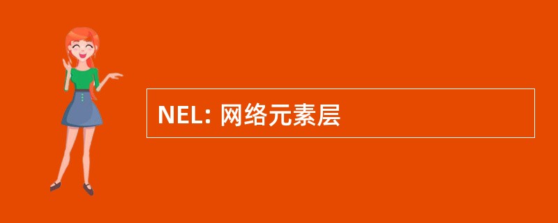 NEL: 网络元素层