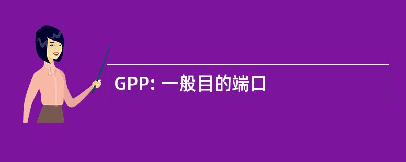 GPP: 一般目的端口