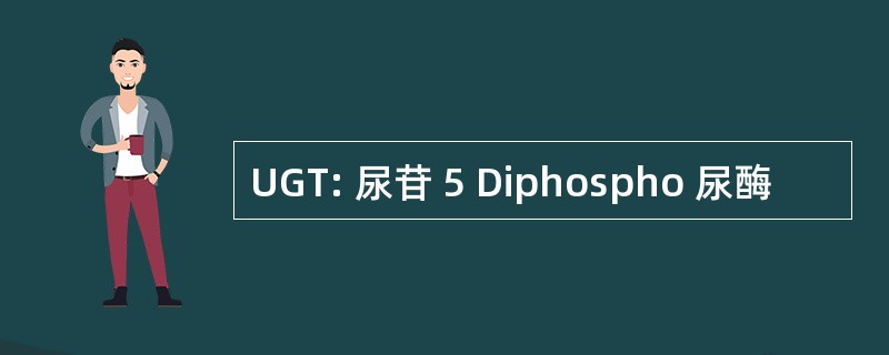 UGT: 尿苷 5 Diphospho 尿酶