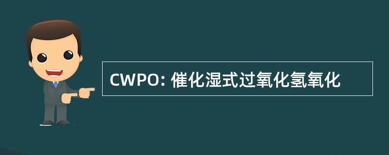 CWPO: 催化湿式过氧化氢氧化