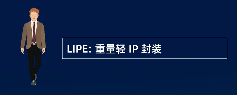 LIPE: 重量轻 IP 封装