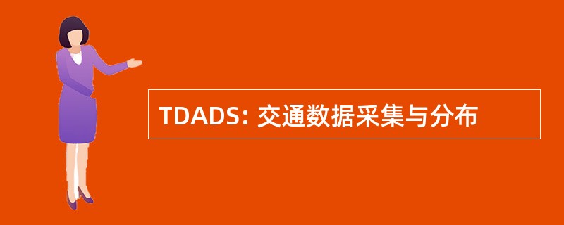 TDADS: 交通数据采集与分布