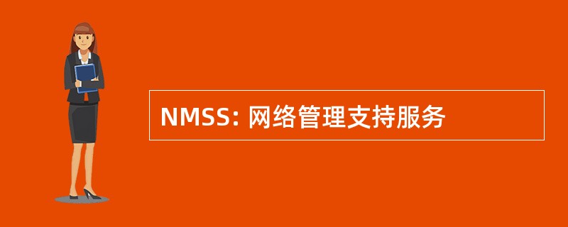 NMSS: 网络管理支持服务