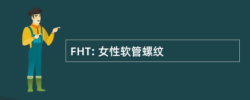 FHT: 女性软管螺纹