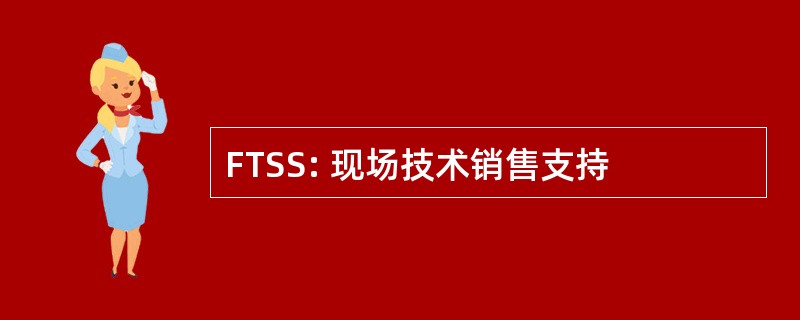 FTSS: 现场技术销售支持