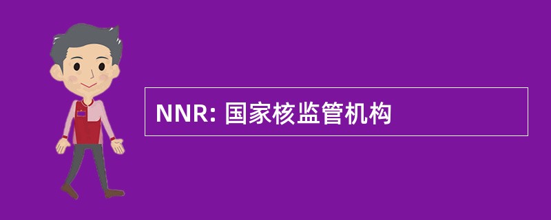 NNR: 国家核监管机构