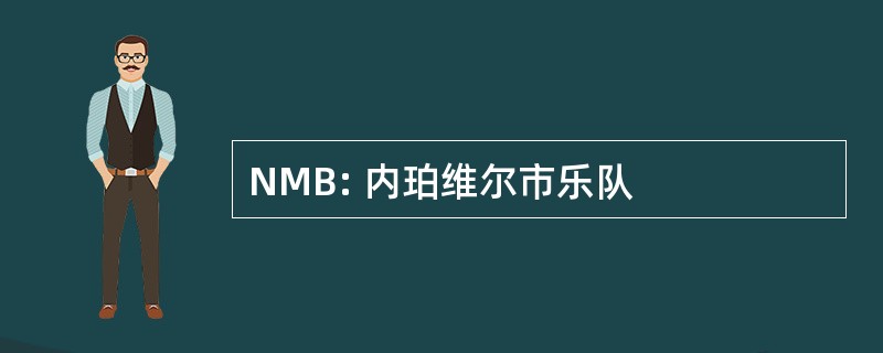 NMB: 内珀维尔市乐队