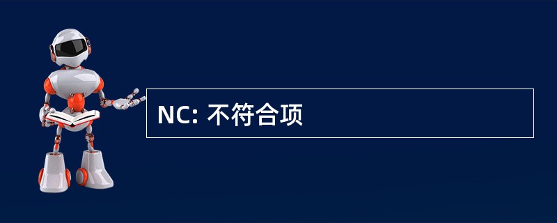 NC: 不符合项