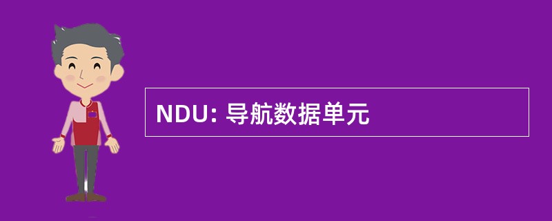 NDU: 导航数据单元