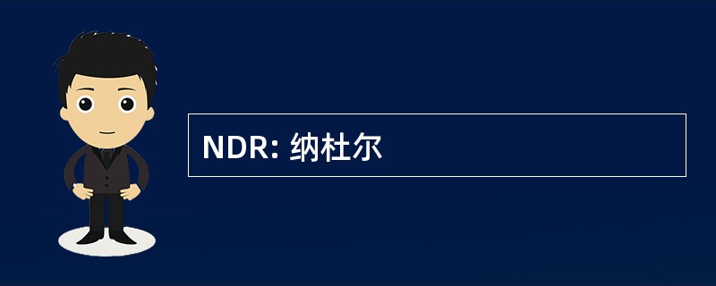 NDR: 纳杜尔