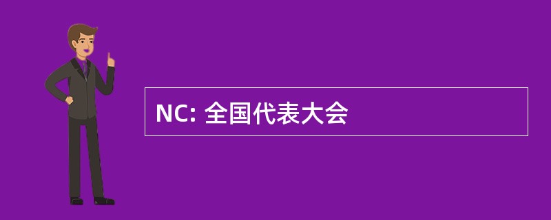 NC: 全国代表大会