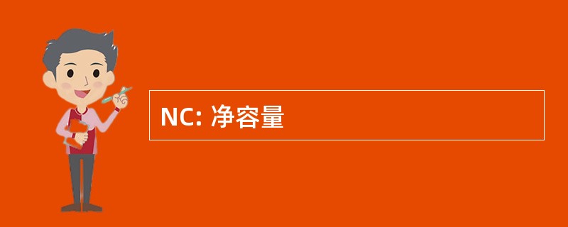 NC: 净容量