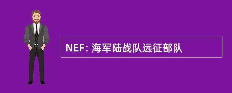 NEF: 海军陆战队远征部队