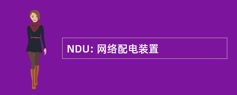 NDU: 网络配电装置