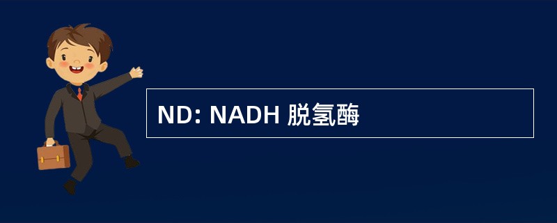 ND: NADH 脱氢酶