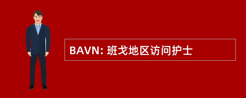 BAVN: 班戈地区访问护士