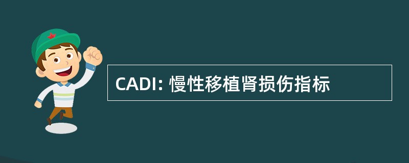 CADI: 慢性移植肾损伤指标