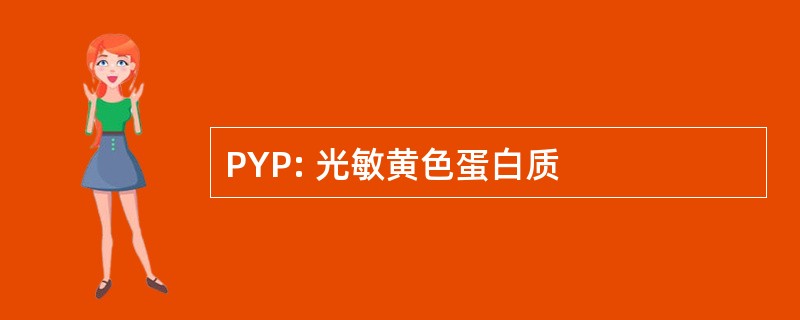 PYP: 光敏黄色蛋白质