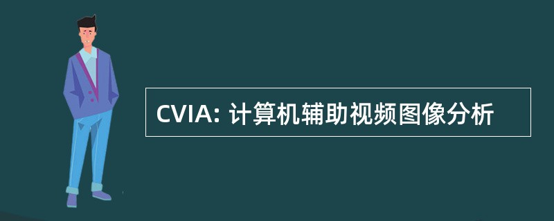 CVIA: 计算机辅助视频图像分析