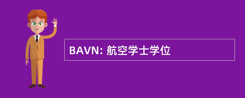 BAVN: 航空学士学位