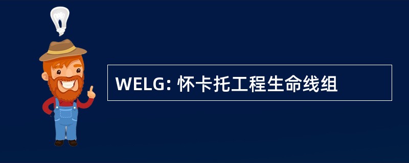 WELG: 怀卡托工程生命线组