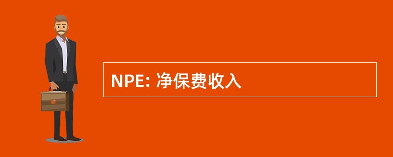 NPE: 净保费收入