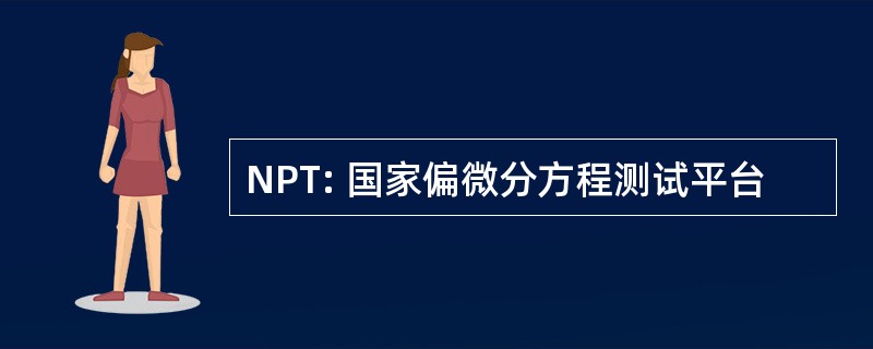 NPT: 国家偏微分方程测试平台