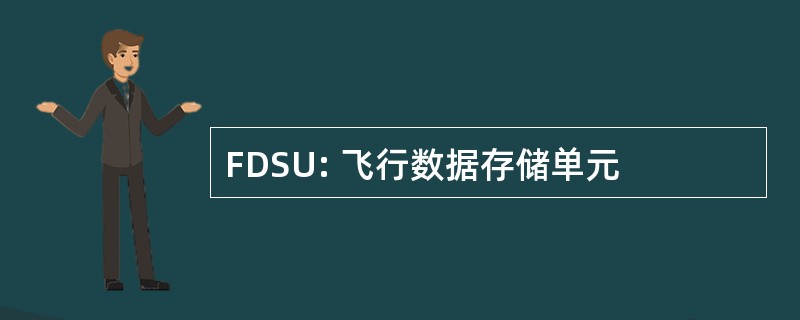 FDSU: 飞行数据存储单元