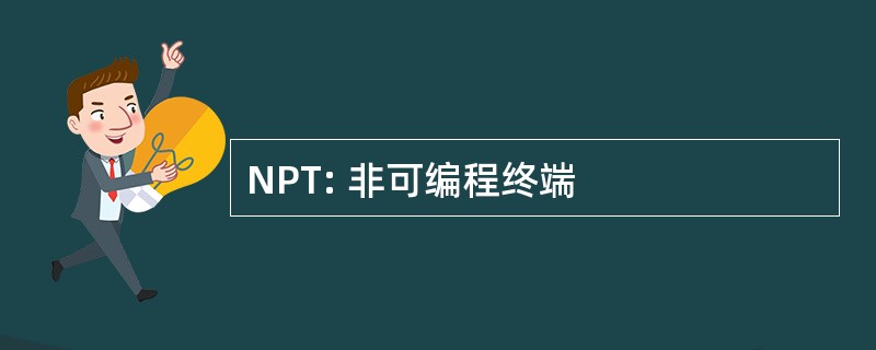 NPT: 非可编程终端