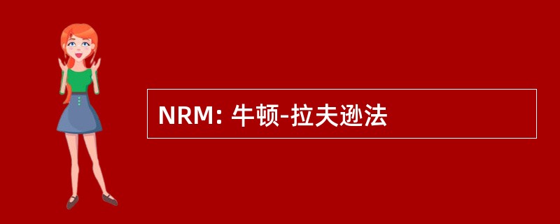 NRM: 牛顿-拉夫逊法