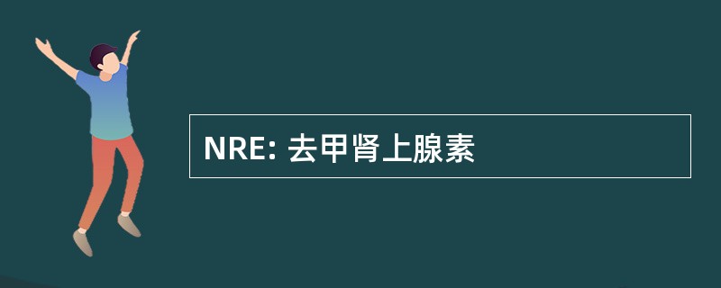 NRE: 去甲肾上腺素