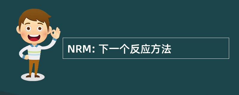 NRM: 下一个反应方法