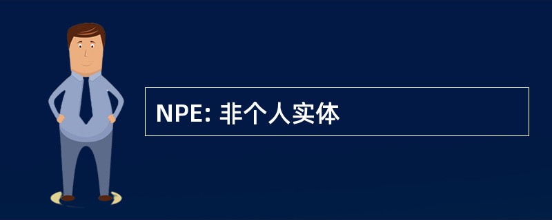 NPE: 非个人实体