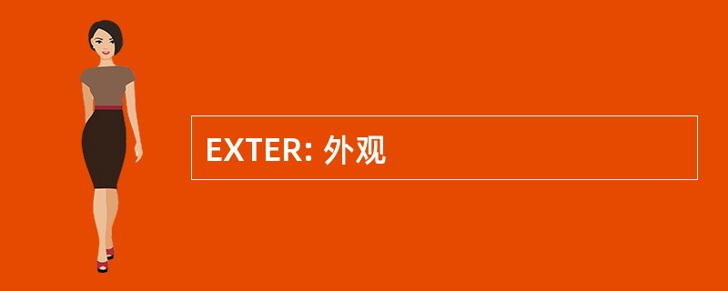 EXTER: 外观