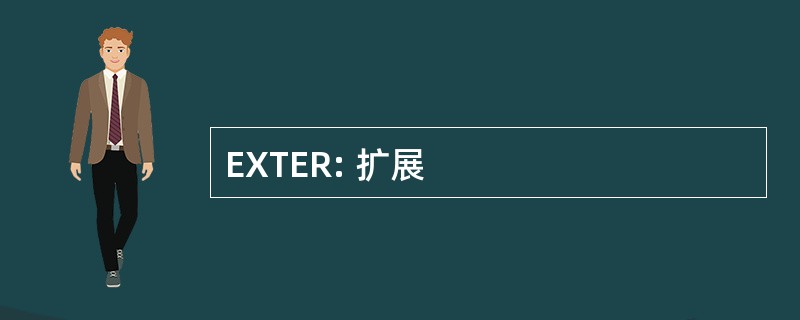 EXTER: 扩展