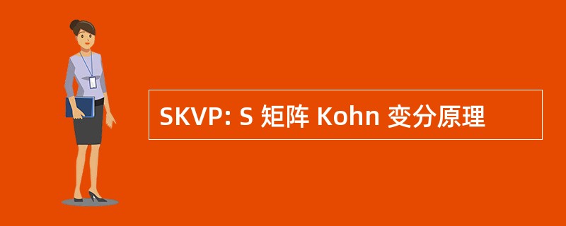 SKVP: S 矩阵 Kohn 变分原理