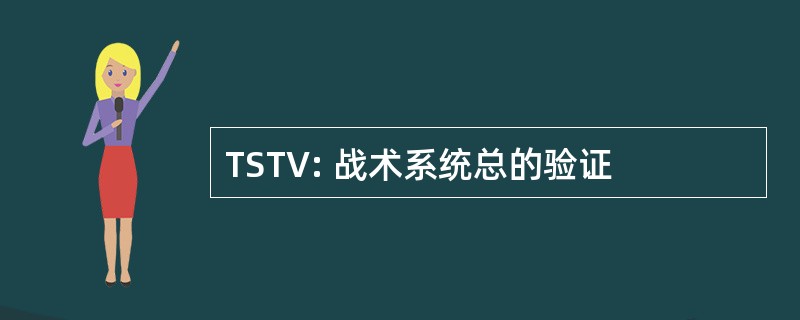 TSTV: 战术系统总的验证