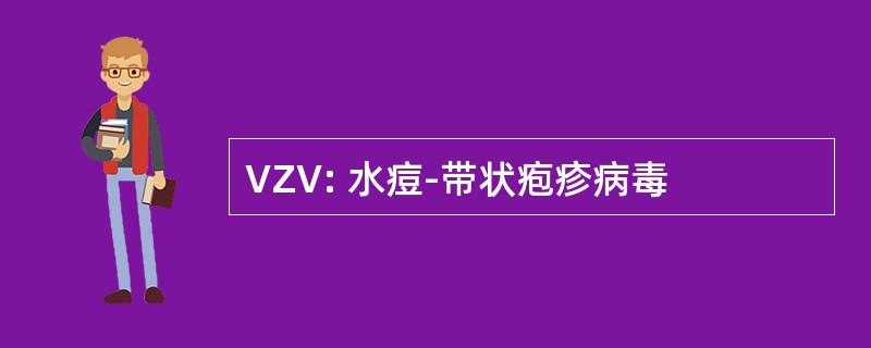 VZV: 水痘-带状疱疹病毒